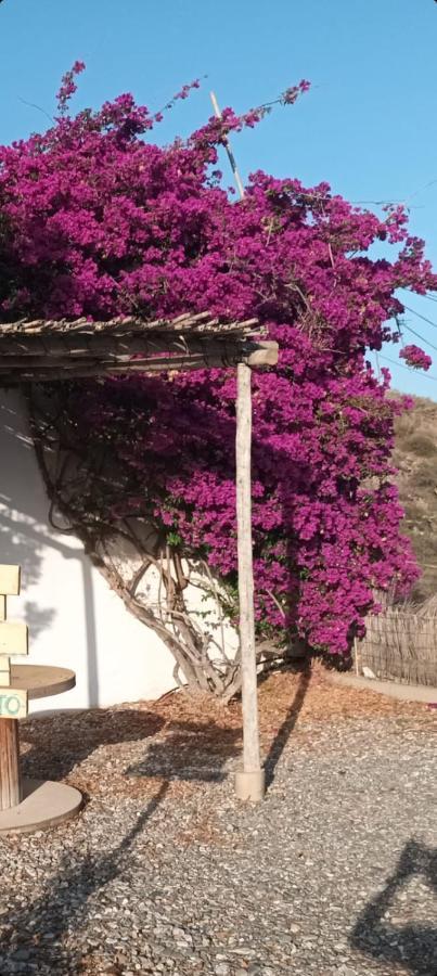 Vistas Al Mar Villa Адра Екстериор снимка